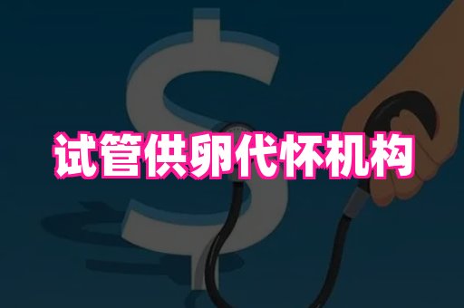 国际助孕网 1