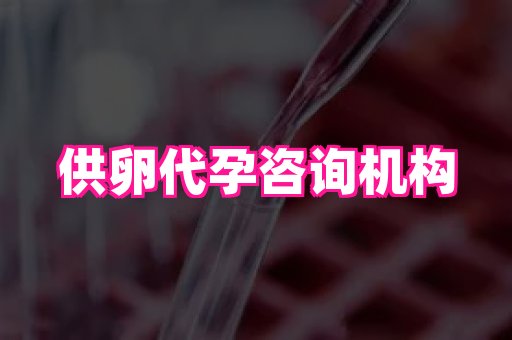 国际助孕网 3