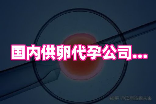 国际助孕网 4